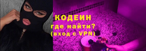 2c-b Инта