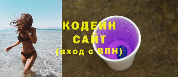 2c-b Инта