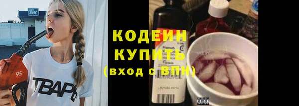 твердый Иннополис