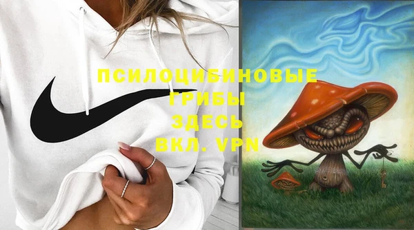 прущие крисы Каменногорск