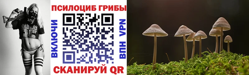Псилоцибиновые грибы GOLDEN TEACHER  Купить где  Верхняя Салда 